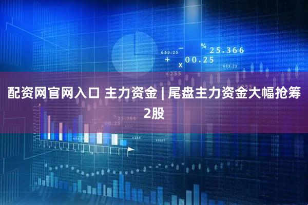 配资网官网入口 主力资金 | 尾盘主力资金大幅抢筹2股