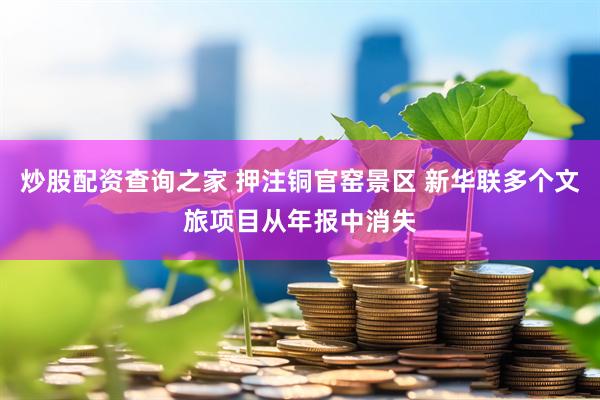 炒股配资查询之家 押注铜官窑景区 新华联多个文旅项目从年报中消失